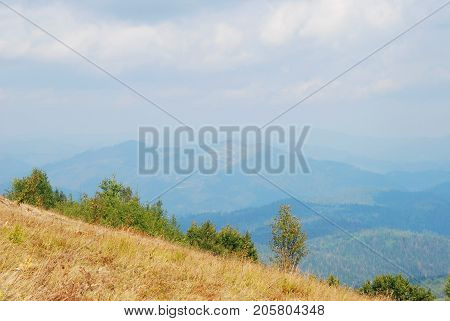 Mountain Landscape In Carpathian