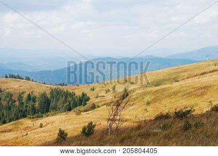 Mountain Landscape In Carpathian