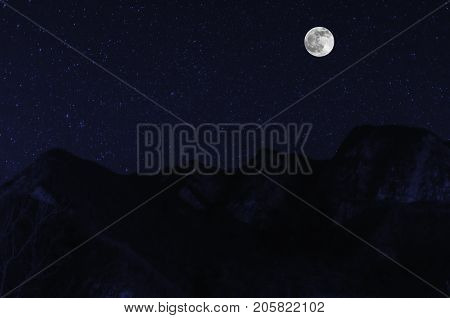 Mountain River With Stones And Grass In The Forest At The Foot Of Mountain Slope At Night In Moon Li