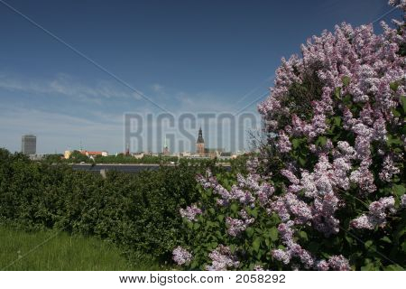 Panorama di Riga