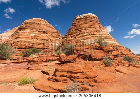 Vivid sandstone formation in Coyote Buttes North. These formations could be seen in Paria Canyon-Vermilion Cliffs Wilderness between the towns of Kanab, Utah and Page, Arizona. USA