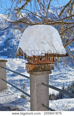 Nestbox bird house - nature background