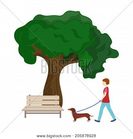 Tree and bench, woman walks a pet in the park. Pet, Dog care single icon in cartoon style vector symbol stock illustration .