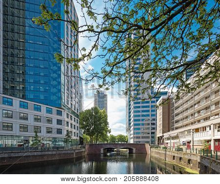 Rotterdam cityscape with canal and skyscraper