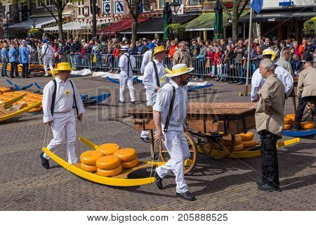Alkmaar, Netherlands - April 28, 2017: Cheese carriers at traditional cheese market.