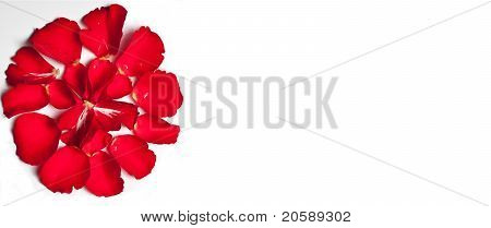Rose papper bakgrund