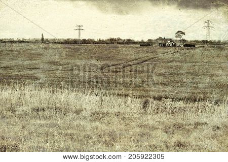Agriculture on Land Reclaimed from the See in Netherlands. Tidal marsh and meadows formed by dams in Holland. Vintage style toned picture