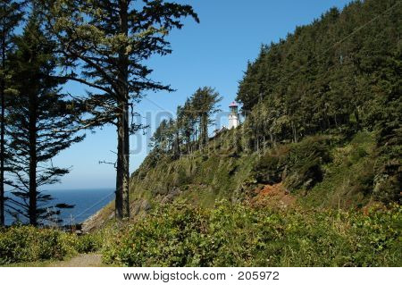 Heceta 헤드 등 대
