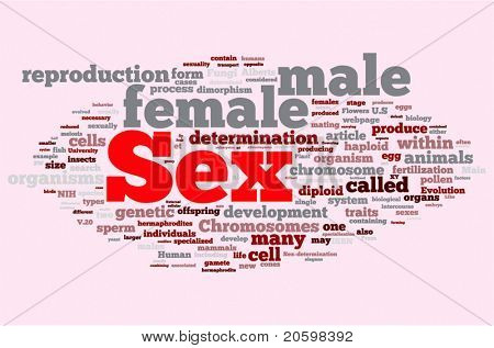 Sex word cloud illustration. Graphic tag collection.
