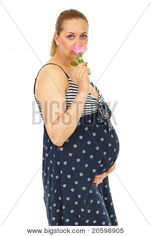 Gravid kvinde duftende Rose