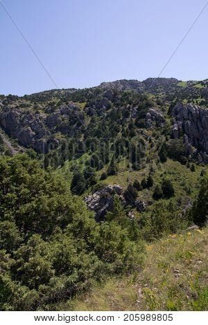beautiful nature. Mountains in Kazakhstan . In the park in nature