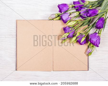 Open book with empty pages on a white background. Flowers and books. Romantic concept. Purple eustoma.
