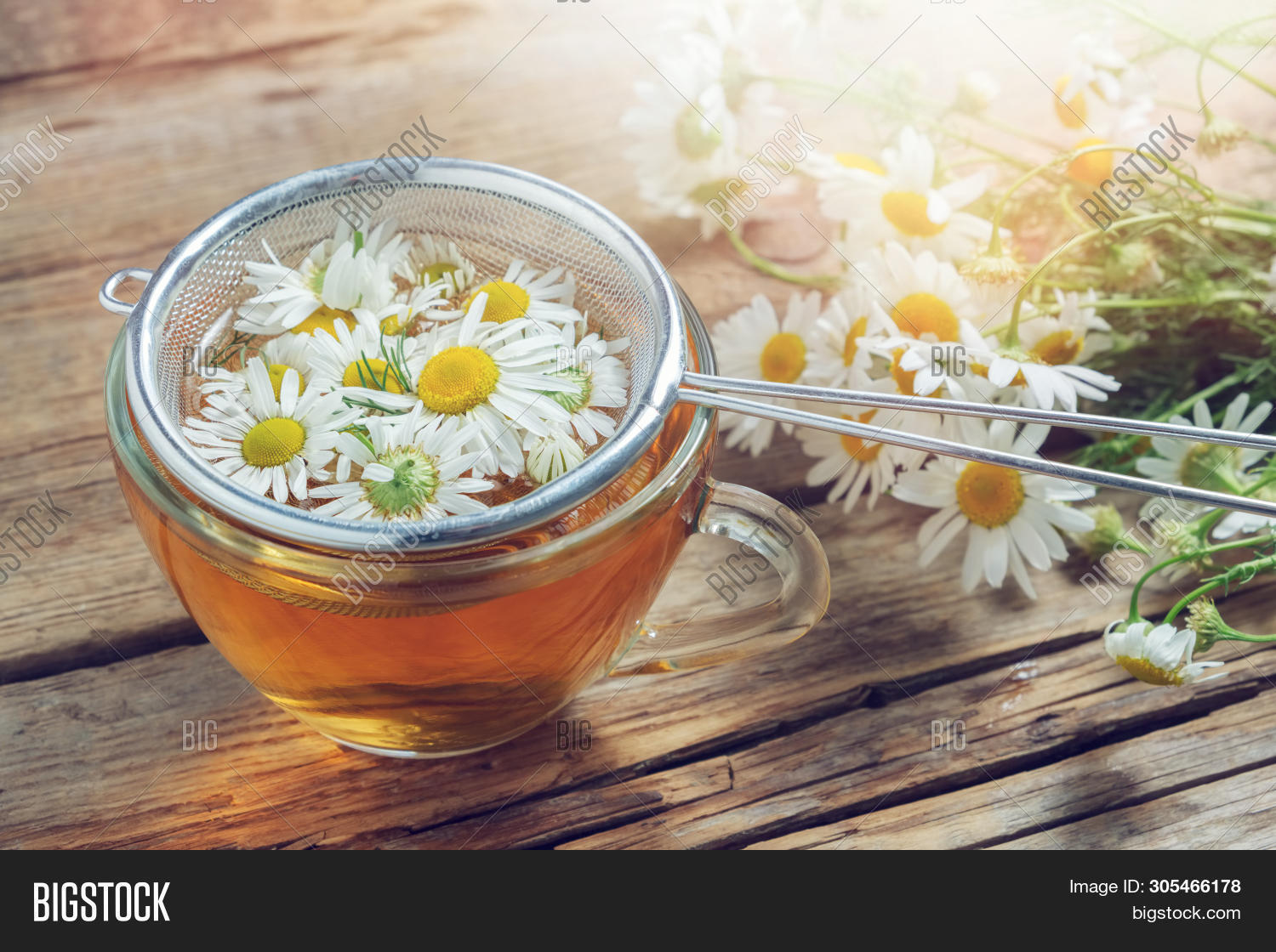 Daisy Flowers Tea Image & Photo (Free Trial) Bigstock
