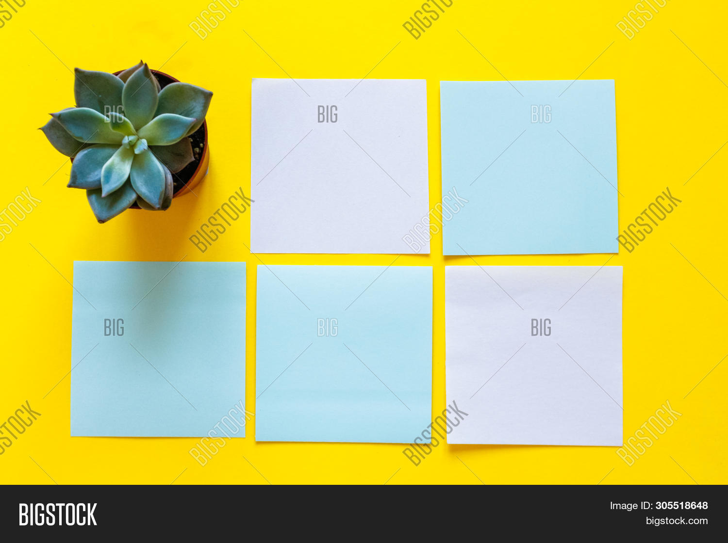 Colored Notes Paper. Image & Photo (Free Trial) Bigstock