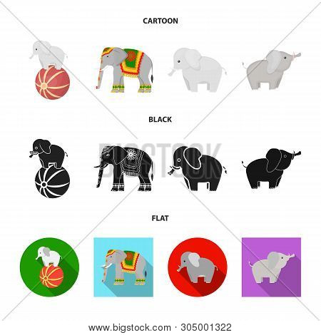 Vector Illustration Of Elephant And Asian Icon. Set Of Elephant And Elephant Stock Vector Illustrati