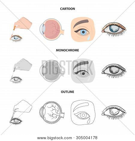 Vector Design Of Medical And Eyeball Logo. Set Of Medical And Optical Stock Vector Illustration.