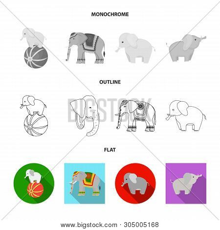 Vector Illustration Of Elephant And Asian Sign. Collection Of Elephant And Elephant Stock Vector Ill
