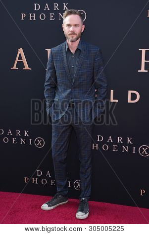 LOS ANGELES - JUN 04:  Shawn Ashmore arrives for the 'Dark Phoenix' Global Premiere on June 04, 2019 in Hollywood, CA                