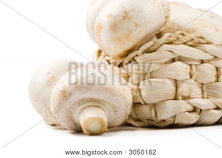 Funghi freschi