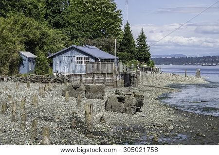 Old Cabin On The Beach On Vashon Island.