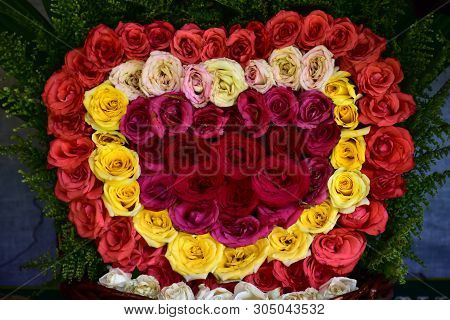 Pretty Roses In A Red, White And Pink Mixed Flowers
