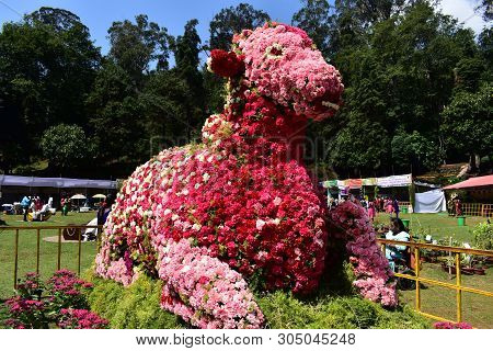 Kodaikanal, Tamilnadu, India - June 2, 2019: Nandi Statue Made With Flowers At The 58Th Flower Show