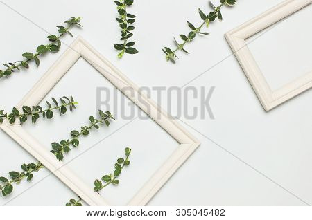 White Wooden Photo Frame And Spring Green Twigs Of Plants On Gray Background. Flat Lay Top View Copy