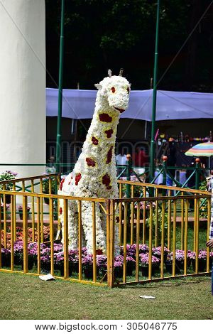 Kodaikanal, Tamilnadu, India - June 2, 2019: Statues Made With Flowers At The 58th Flower Show In Ko
