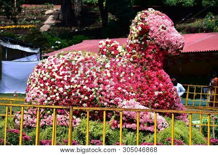 Kodaikanal, Tamilnadu, India - June 2, 2019: Nandi Statue Made With Flowers At The 58th Flower Show 
