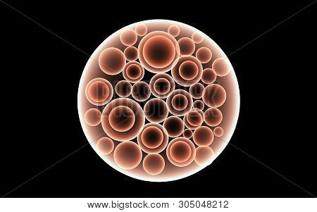 3d Rendered Digital Illustration Of Blastocyst In Dark Background