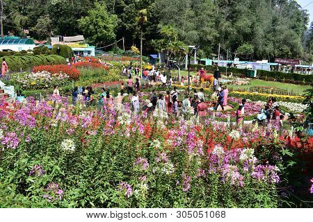 Kodaikanal, Tamilnadu, India - June 2, 2019: The 58th Flower Show In Kodaikanal