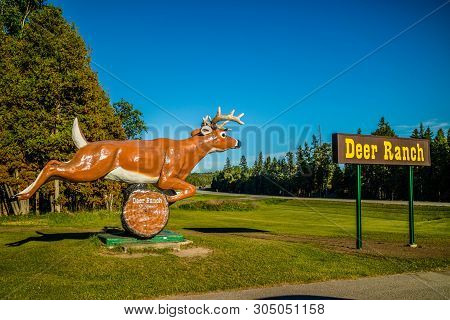 An Entrance Road Going To The Ranch Of Mackinac Island, Michigan