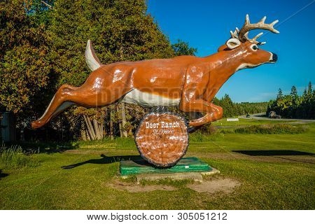An Entrance Road Going To The Ranch Of Mackinac Island, Michigan