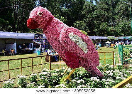 Kodaikanal, Tamilnadu, India - June 2, 2019: Statues Made With Flowers At The 58th Flower Show In Ko