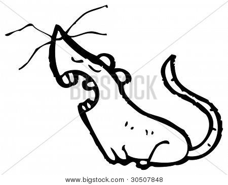 cigolio mouse Cartoon