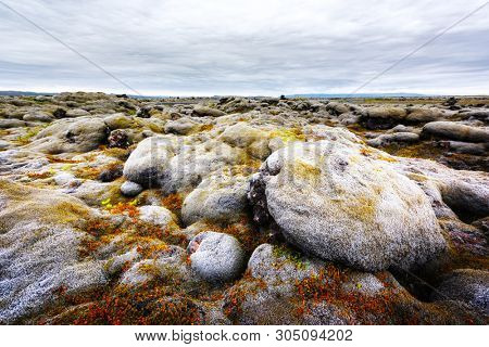 Gorgeous Iceland landscape with lava field covered with brown moss Eldhraun from volcano eruption and cloudy sky