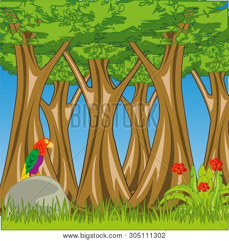 Bright Primordial Landscape Beautiful And Thick Tropical Wood