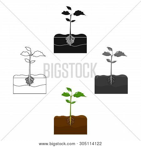 Plants Single Icon In Cartoon, Black Style.plants, Vector Symbol Stock Illustration Web.