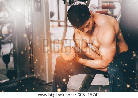 Muscular Man In Gym Doing Exercises With Dumbbells, Strong Male.