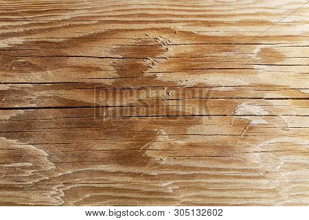 The Texture Of The Polished Cut Of A Tree In Brown Tones. The Cut Of The Board Of The Sawn Wood. Nat