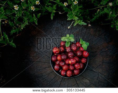 Plum Ju-li