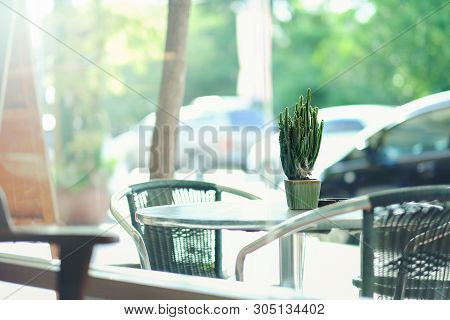 Green Flower In Black Pot On Table Outdoor Resterant