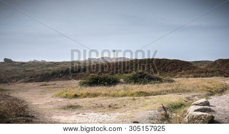View Of The Wild Vegetation Of The Cross Of The Tip Of Chatelet On The Island Of Yeu