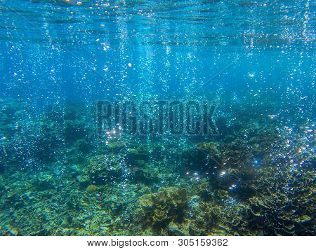 Underwater Landscape With Tropical Fish And Coral Reef. Sparkling Oxygen Bubbles From Seabottom. Mar