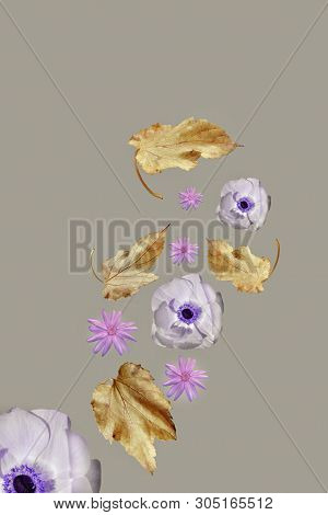 Flowers And Leaves Flying In The Air