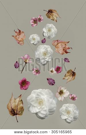 Flowers And Leaves Flying In The Air