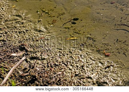 Beautiful Lake Wulfen Barkenberg Dorsten Background High Quality Prints Products 50,6 Megapixels