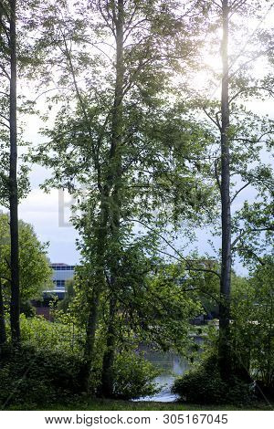 Beautiful Lake Wulfen Barkenberg Dorsten Background High Quality Prints Products 50,6 Megapixels