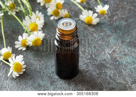 A Bottle Of Essential Oil With Fresh German Chamomile Flowers In The Background