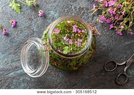 Preparation Of Alcohol Tincture From Fresh Herb-robert Plant